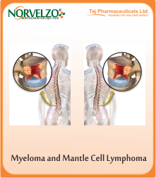 (bortezomib) blocks the proteasome, causing an imbalance of proteins 
